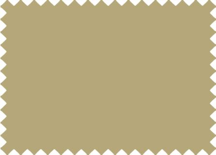 Loneta Interior Economica Beige