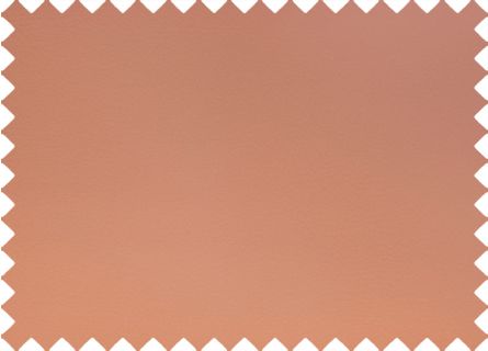 Polipiel Náutica Lisa Rosa