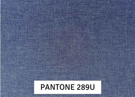 Tapicería Life Premium Azul