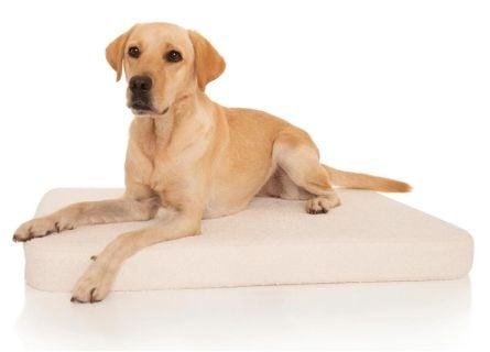 Colchón  viscoelástico para perro 