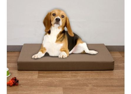 Colchón espuma para perro