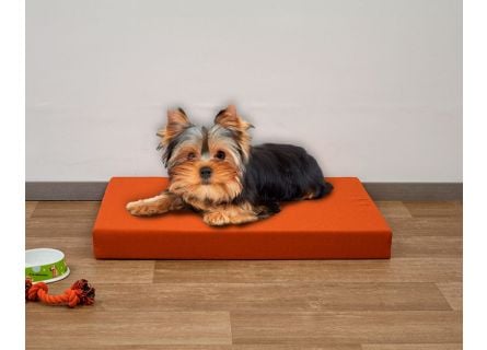 Colchón espuma para perro
