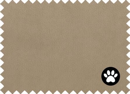 Tapicería Bull Camel