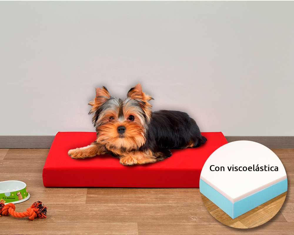 Cojines y Colchonetas para Perros: Los 10 Mejores