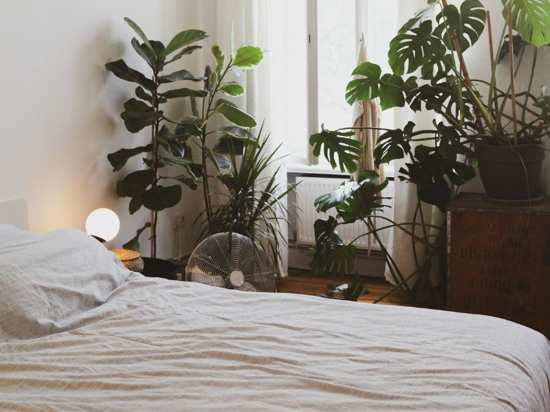 Habitación con cama blanca y plantas