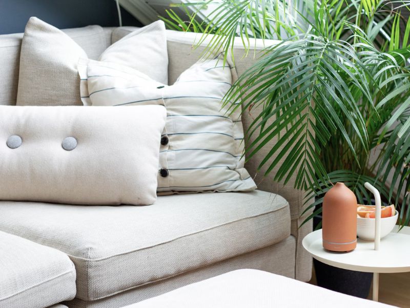 salon de jardin con cojines blancos